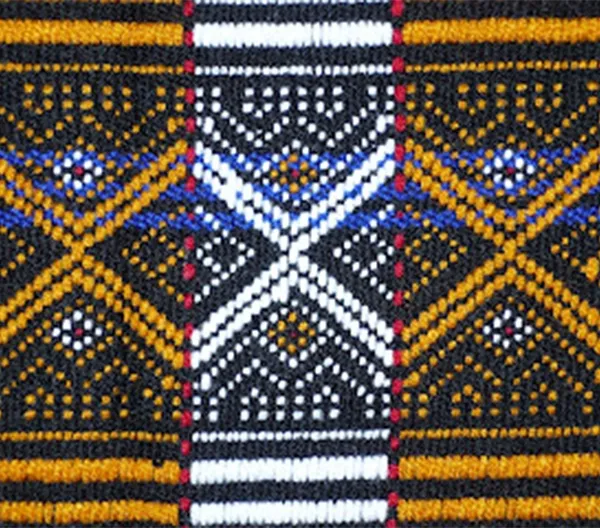 Apatani Textile